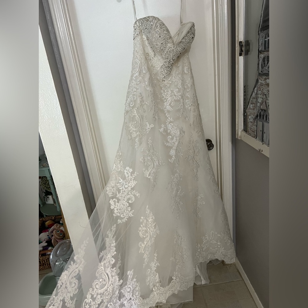 NWT Wedding dress